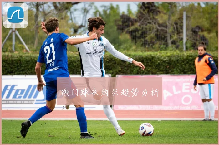 热门球衣购买趋势分析