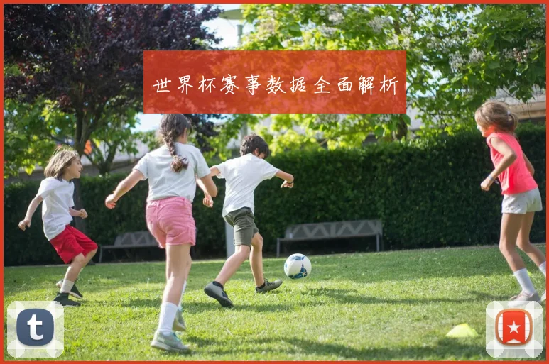世界杯赛事数据全面解析