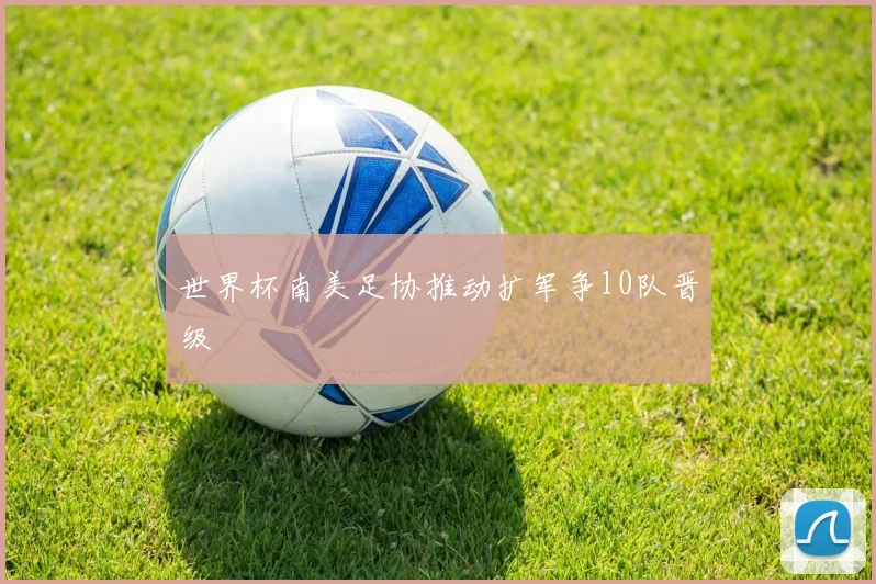 世界杯南美足协推动扩军争10队晋级